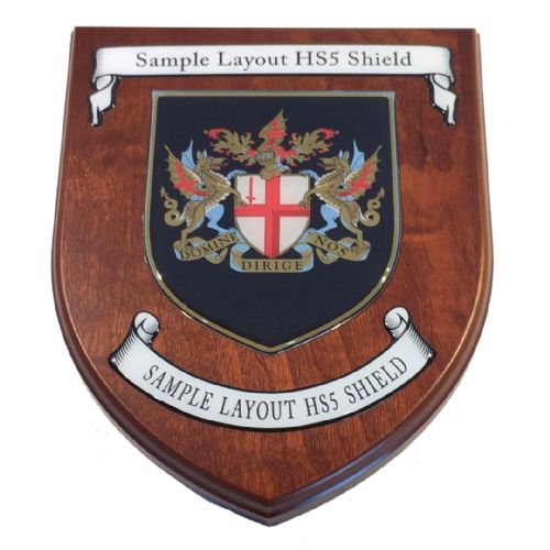 Presentation shield with shield shaped centrepiece and two scrolls.
